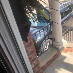 Meet your Posher, Matt